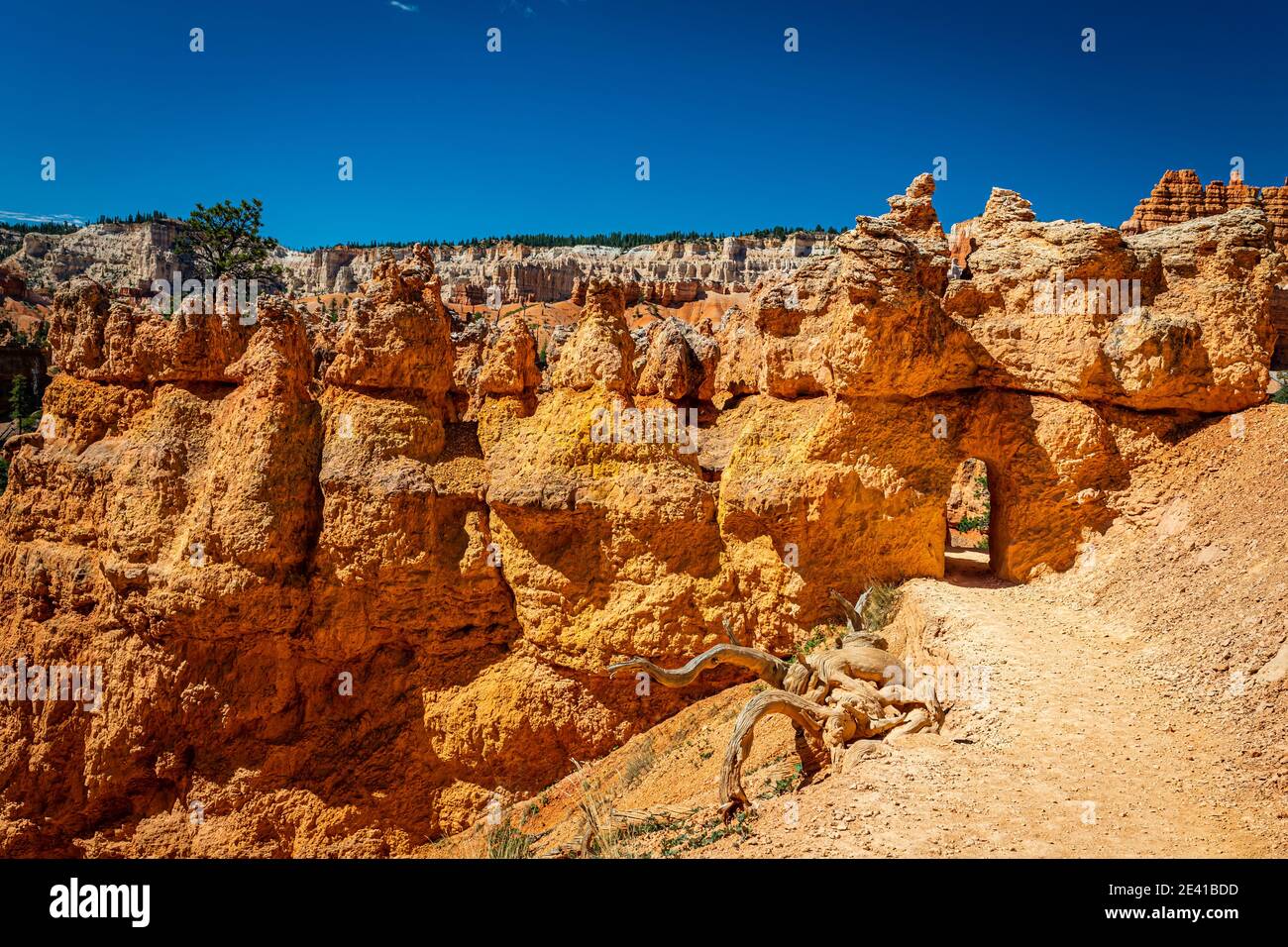 Hoodoo and eroded cliff formations at Bryce Canyon National Park in Utah. Stock Photo