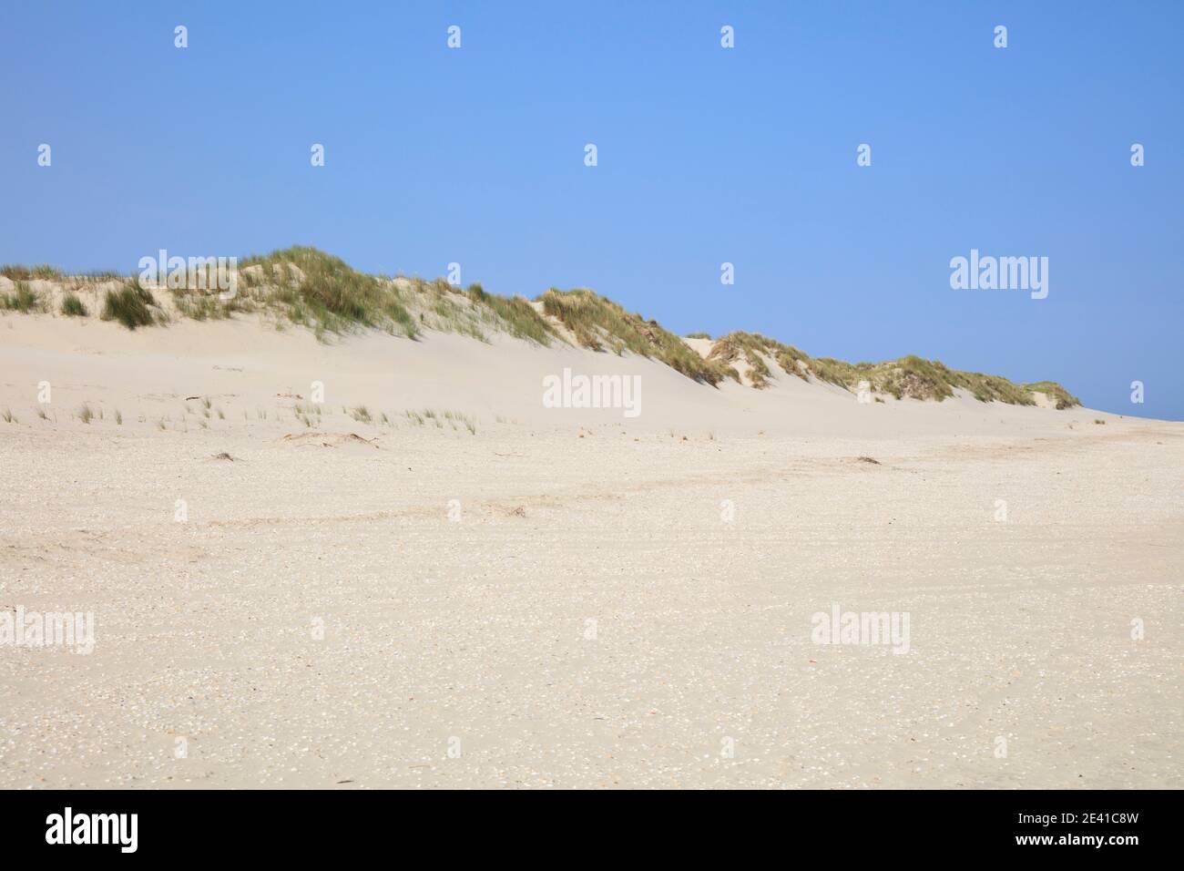 Dune landscape, Borkum, East Frisian Island, East frisia, Lower Saxony, Germany, Europe Stock Photo