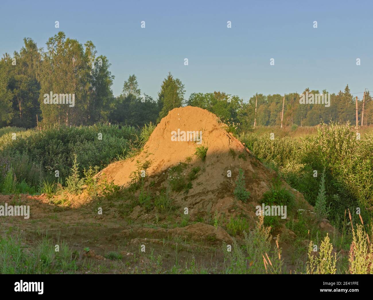 Mountain of yellow sand among grass at summer sunny day Stock Photo
