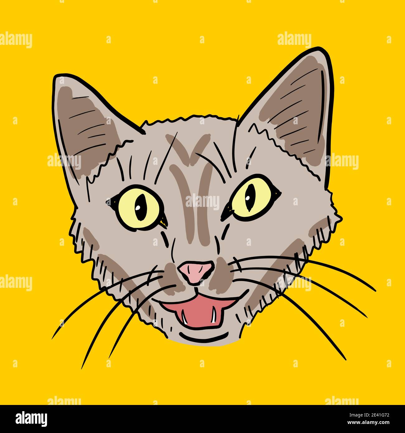 Cats Caption,When I Play with my Cat  Big cats drawing, Pet strollers,  Cute cat