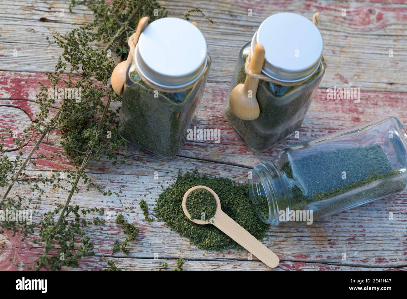 stinging nettle (Urtica dioica), dried nettle seeds in glass containers with wooden spoons, Germany Stock Photo