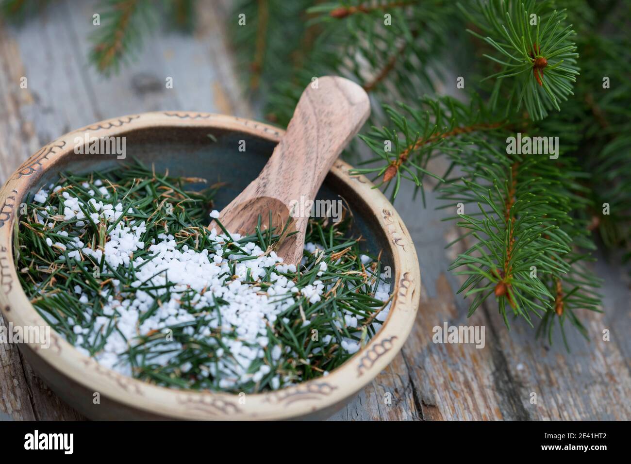 Norway spruce (Picea abies), selfmade spruce salt, Germany Stock Photo