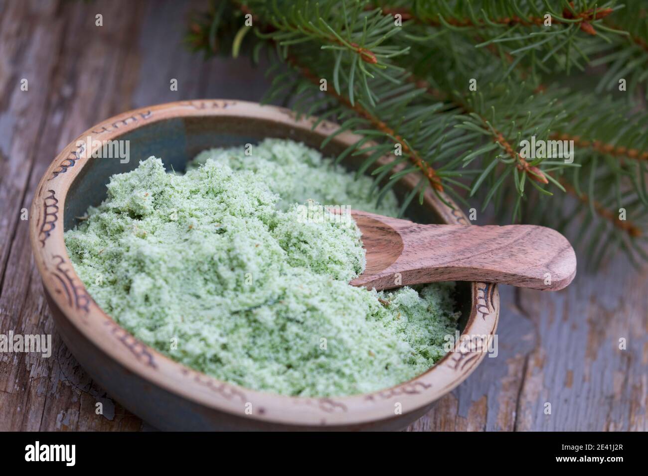 Norway spruce (Picea abies), selfmade spruce salt, Germany Stock Photo