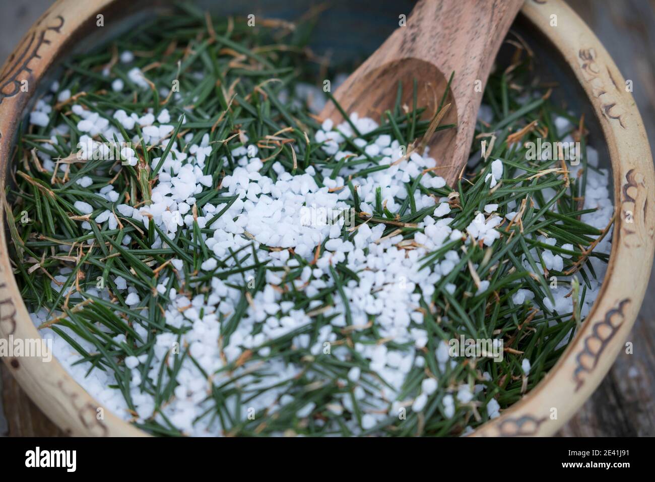 Norway spruce (Picea abies), selfmade spruce salt, Germany Stock Photo