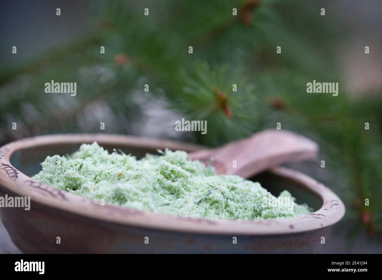 Norway spruce (Picea abies), selfmade spruce salt, Germany Stock Photo