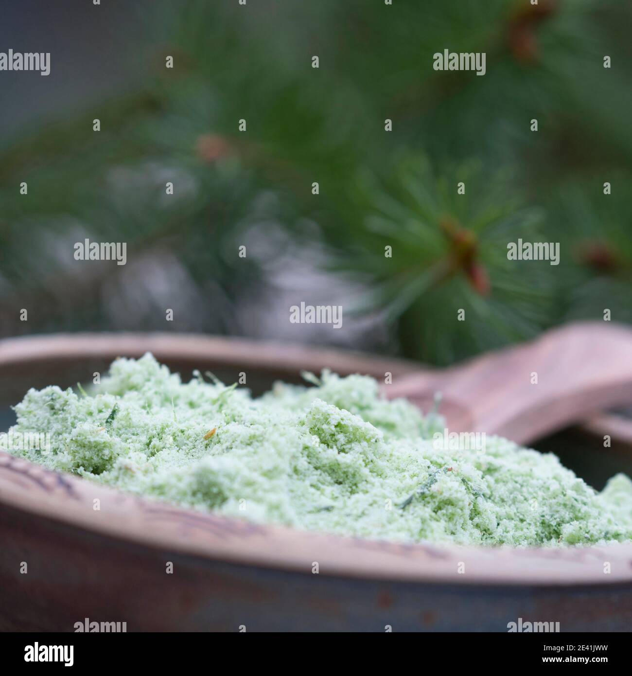 Norway spruce (Picea abies), selfmade spruce salt, Germany Stock Photo