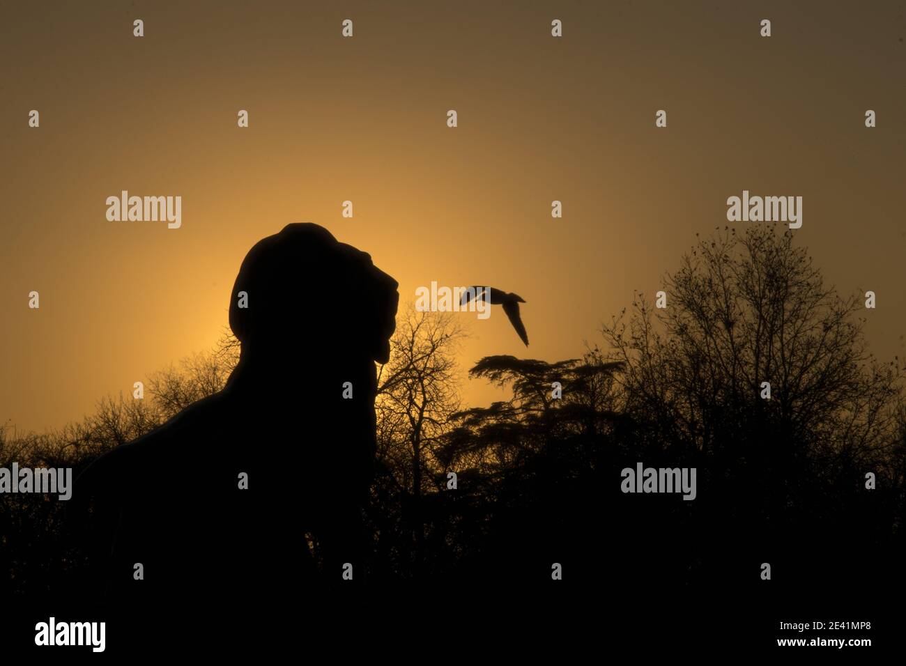 Asilhouette hi-res stock photography and images - Alamy