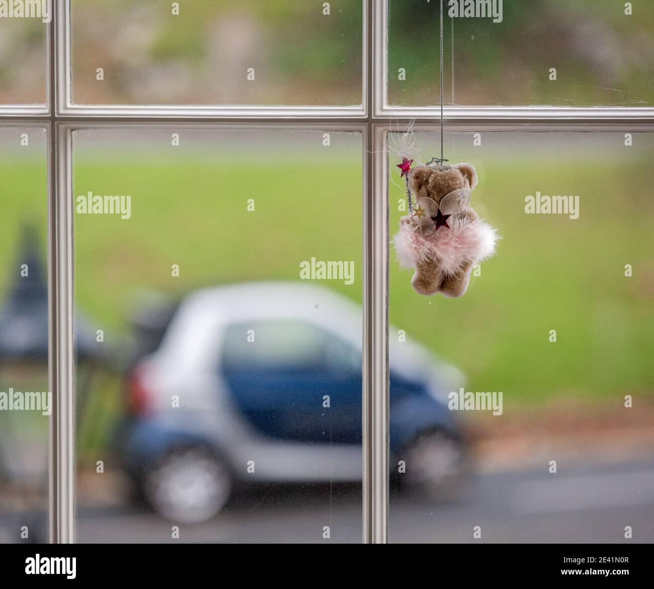 A Christmas Fairy Bear with her magic wand looks out of a window at the passing traffic - Bristol UK Stock Photo