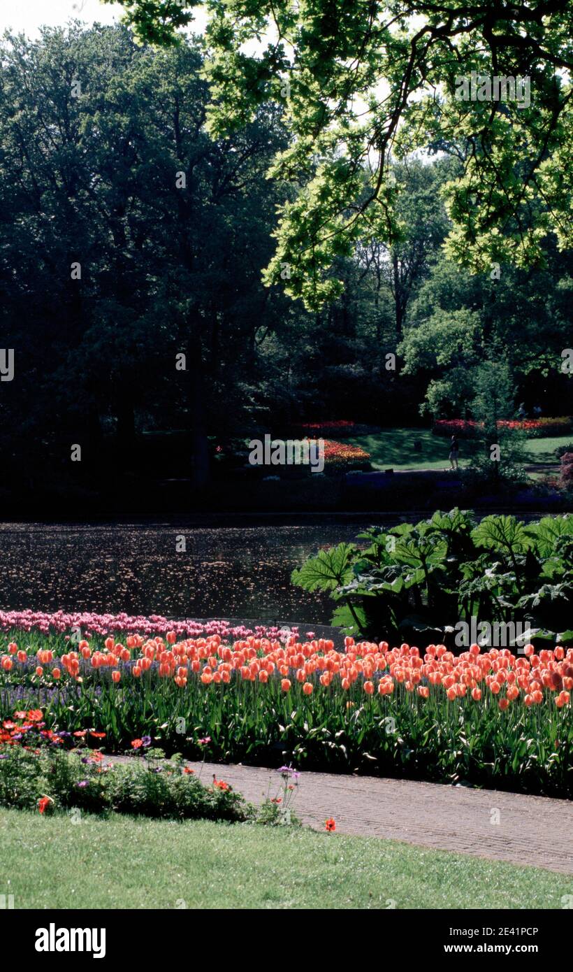 Blumenpark Stock Photo