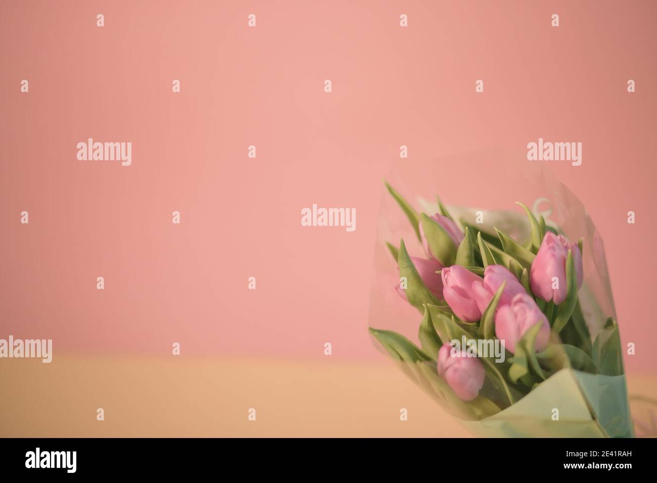 Tulips on a pink background for a Womens Day, Mother Day, 8 march or Valentines day. Close-up. The concept of holidays and good morning wishes. Stock Photo