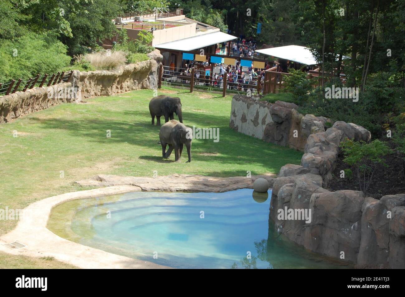 Smithsonian zoo elephant hires stock photography and images Alamy