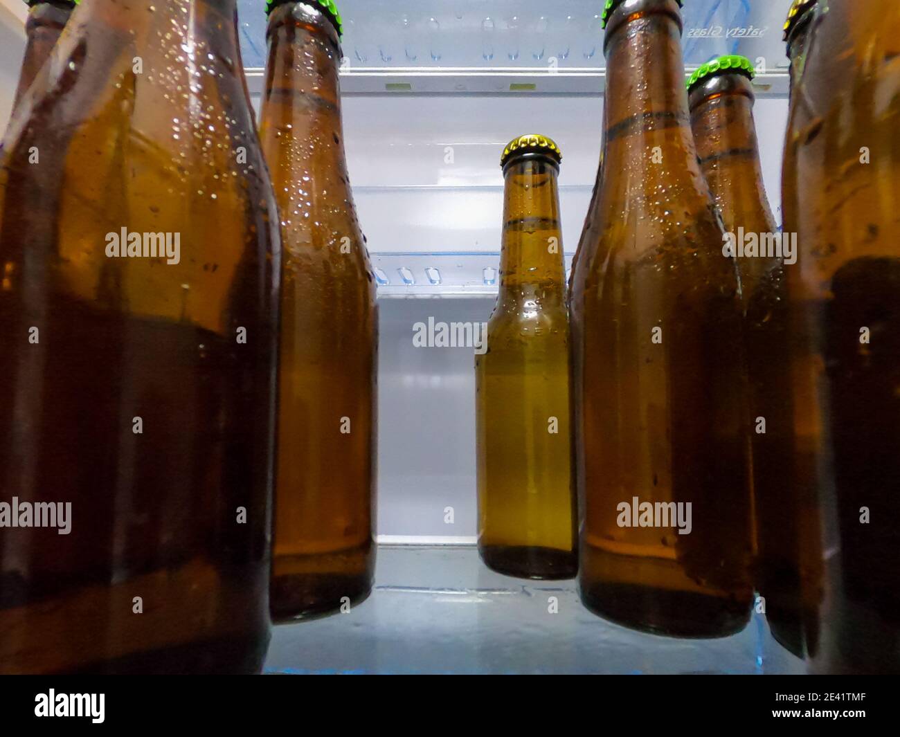 View from inside of closed fridge with ice cold beer bottles. Beer