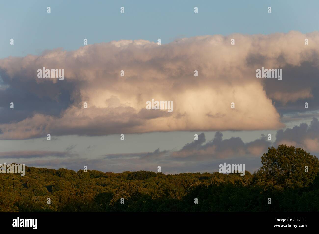 Unusual shaped Cumulus mediocris clouds low on the horizon over Wiltshire uk Stock Photo