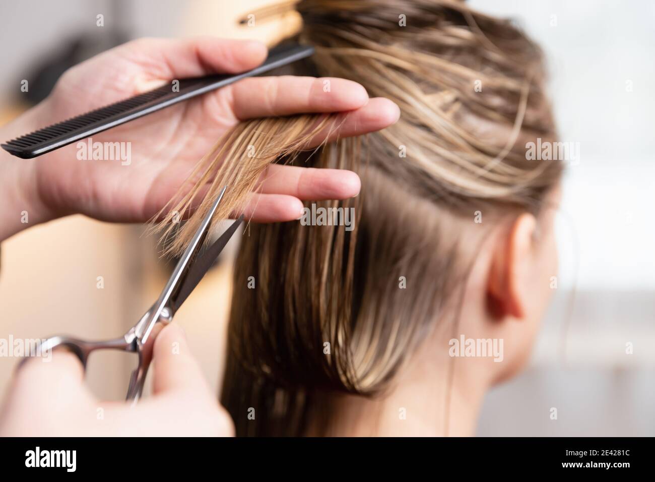 Hairstylist cutting hi-res stock photography and images - Alamy