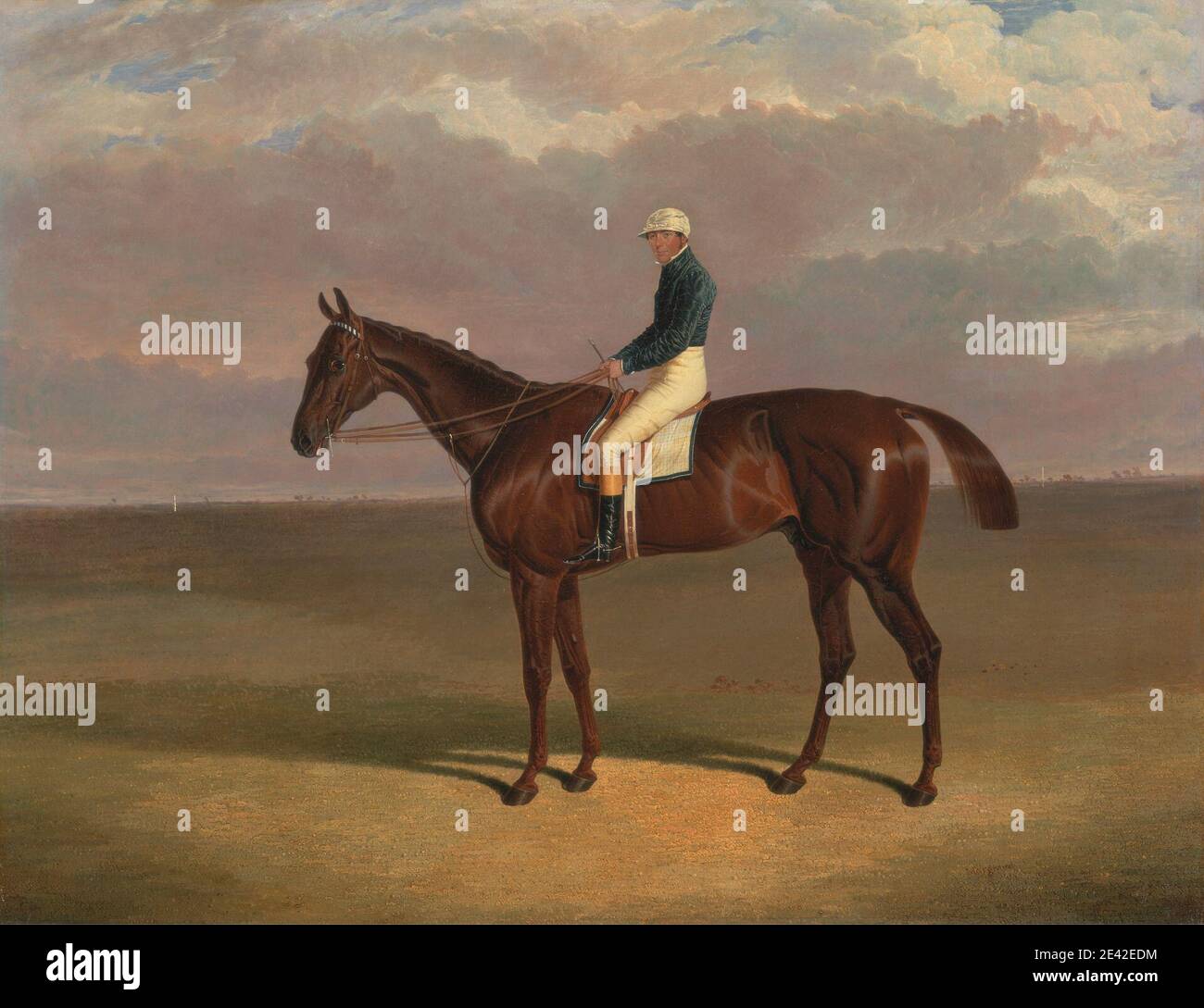 robinsons riding boots