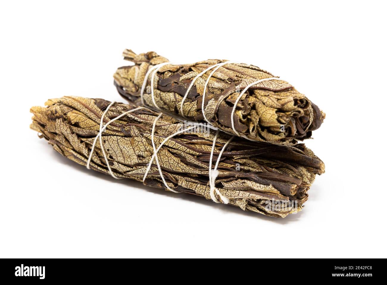 Yerba Santa Sage Smudge Sticks for purification and relaxation close up Stock Photo