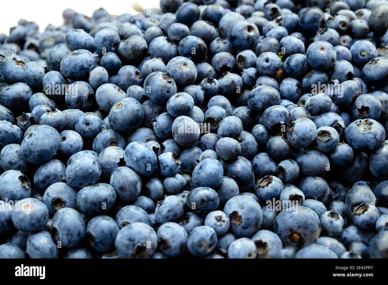 Fresh ripe blueberries as background Stock Photo