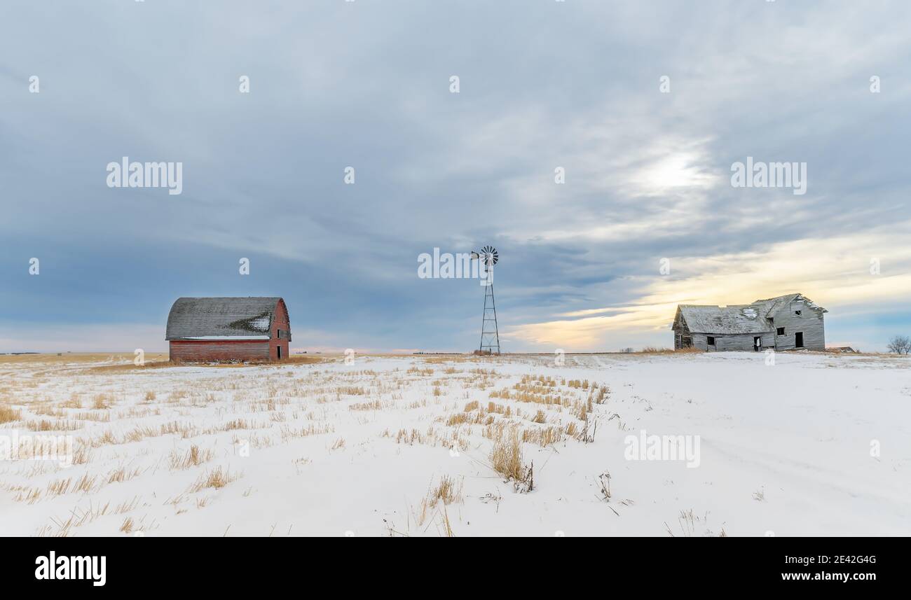 Abandoned homestead on the prairie near Blackie, Alberta, Canada Stock Photo