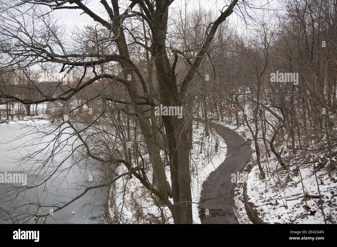 Walkway and waterway in winter in Prospect Park, Brooklyn, New York. Stock Photo