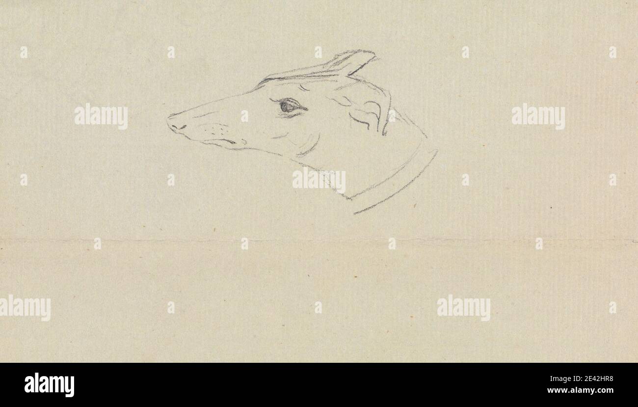 James Sowerby, 1756â€“1822, British, A Dog's Head, undated. Graphite on medium, slightly textured, cream laid paper.   animal art , dog (animal) , dogs, coyotes, wolves, jackals, and dingos Stock Photo