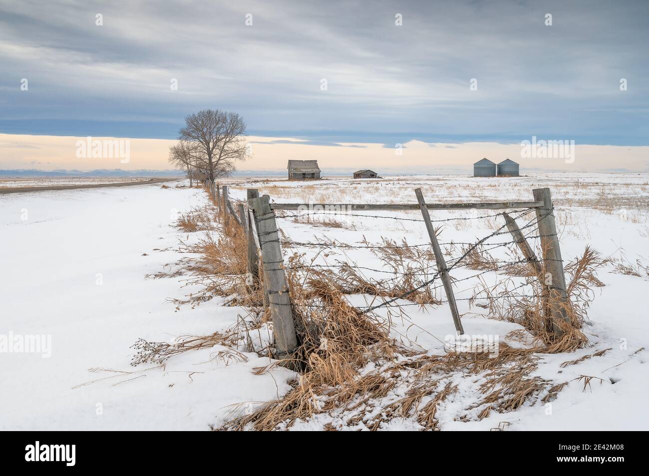 Abandoned homestead on the prairie near Blackie, Alberta, Canada Stock Photo