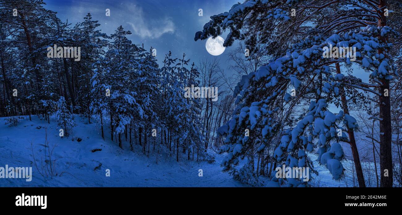 Foil】《冬月台地/Wintermoon Mesa》[PCY] 土地R | 日本最大級