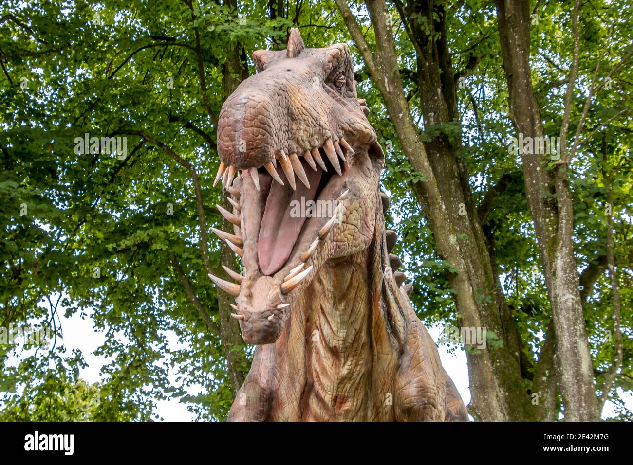 Side view tyrannosaurus rex dinosaur hires stock photography and