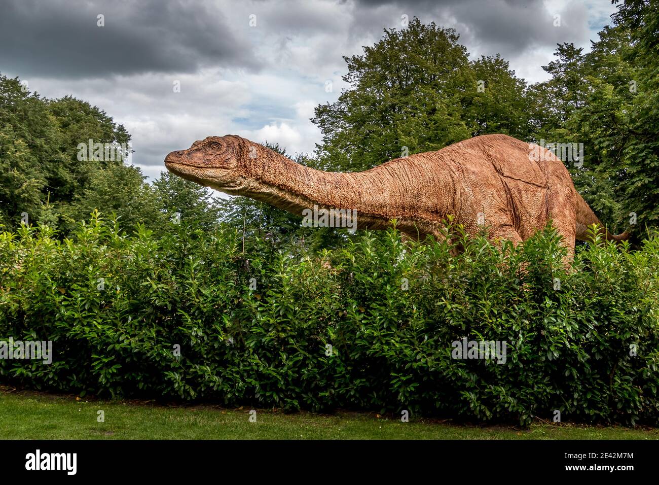 Brontosaurus Dinosaur in natural surroundings and in lifelike size, Stock Photo