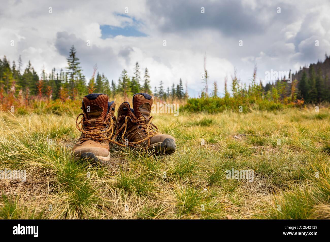 Trekking shoes standing on dry autumn grass on a mountain glade Rowien Waksmundzka with pine trees and spruces in the background, in Tatra Mountains, Stock Photo