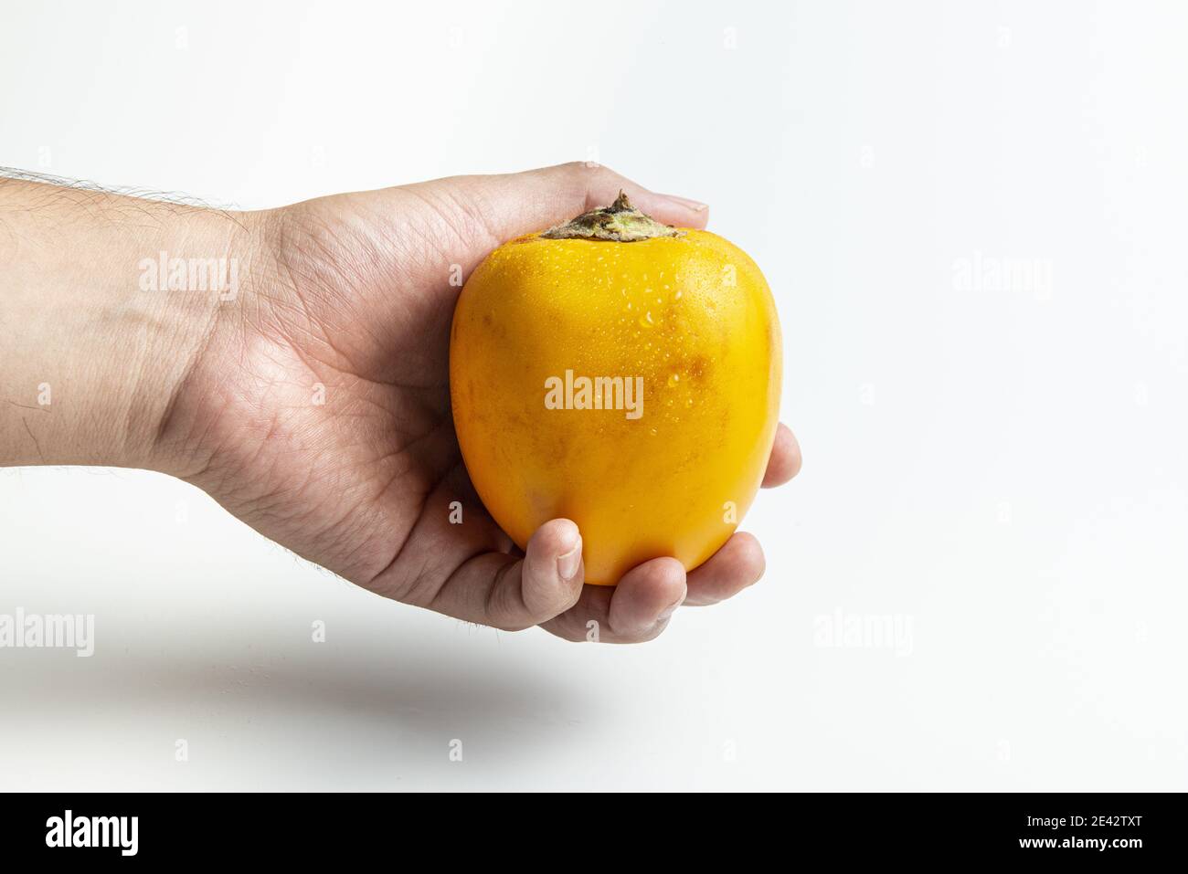 Isolated shot of a hand holding a Cocona tropical fruit (Solanum sessiliflorum) Stock Photo