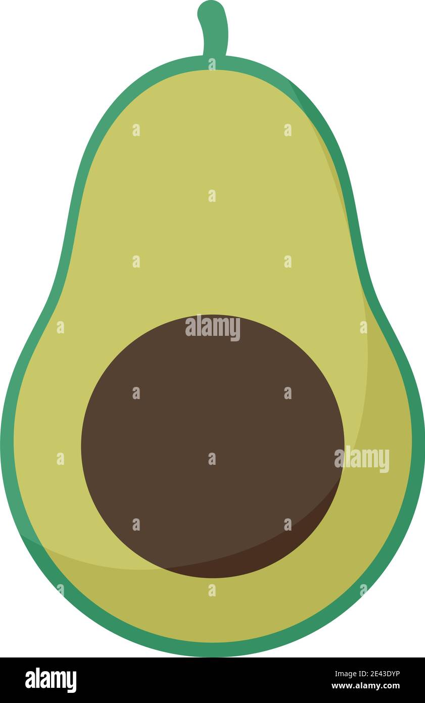avocado with a green color Stock Vector