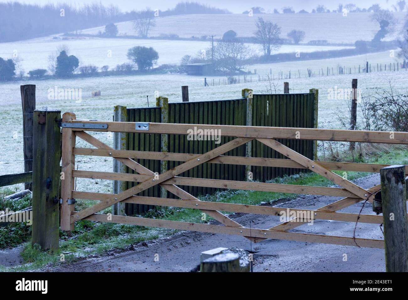 snow falling on farm land and horse is grazing behind gated field Stock Photo