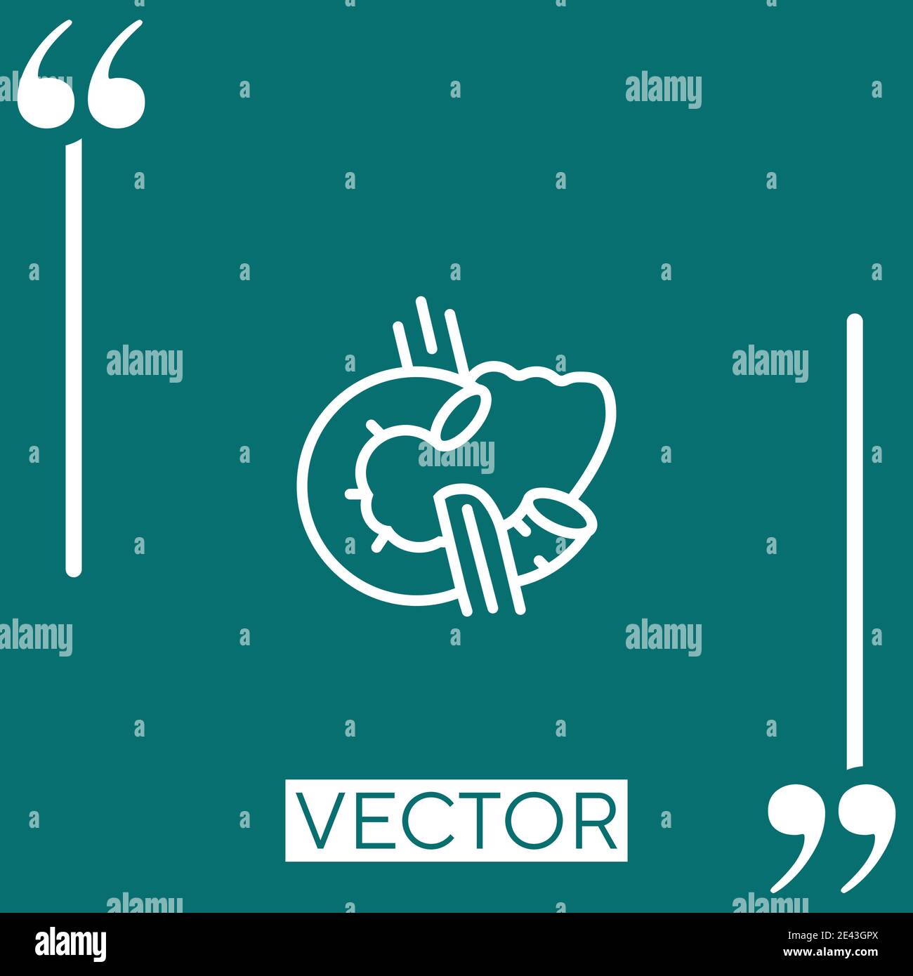 pancreas vector icon Linear icon. Editable stroke line Stock Vector