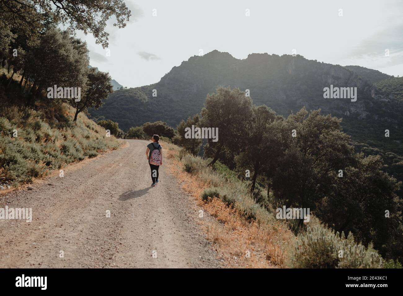 Full body back view of unrecognizable female hiker with backpack ...