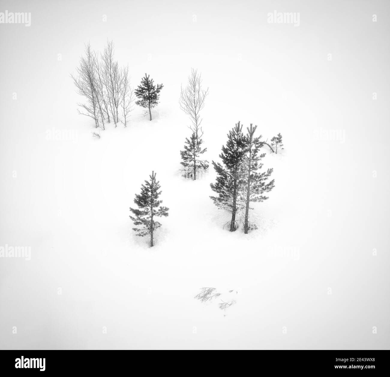 Aerial view drone field Black and White Stock Photos & Images - Alamy