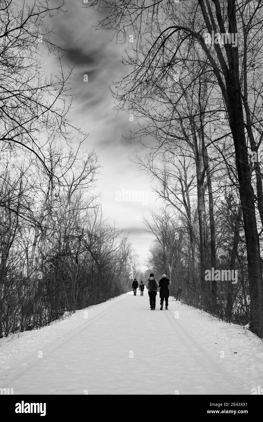 Walking trail in winter Stock Photo