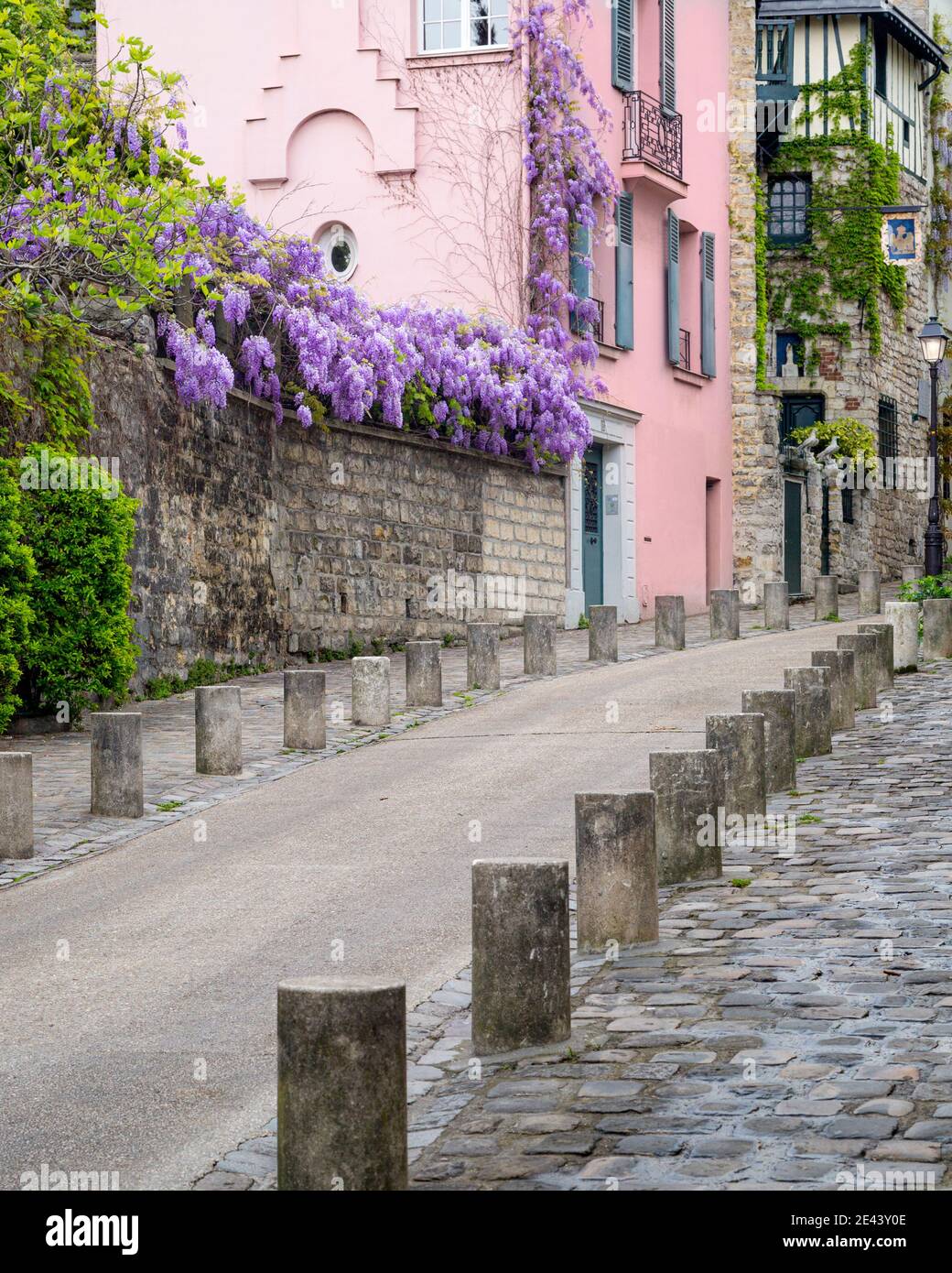 Wisteria along a wall on Rue de l'Abreuvoir in Montmartre, Paris, France  Stock Photo - Alamy
