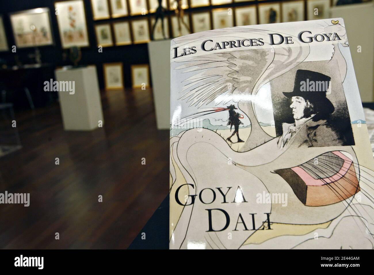 Exhibition is held joining together Francisco Goya and Salvador Dali from May 1 to June 7 at the Grand Palais of Lille, Northern France on May 4, 2009. The occasion of discovering the parallel destinies of these two artists, that all separates, that all b Stock Photo