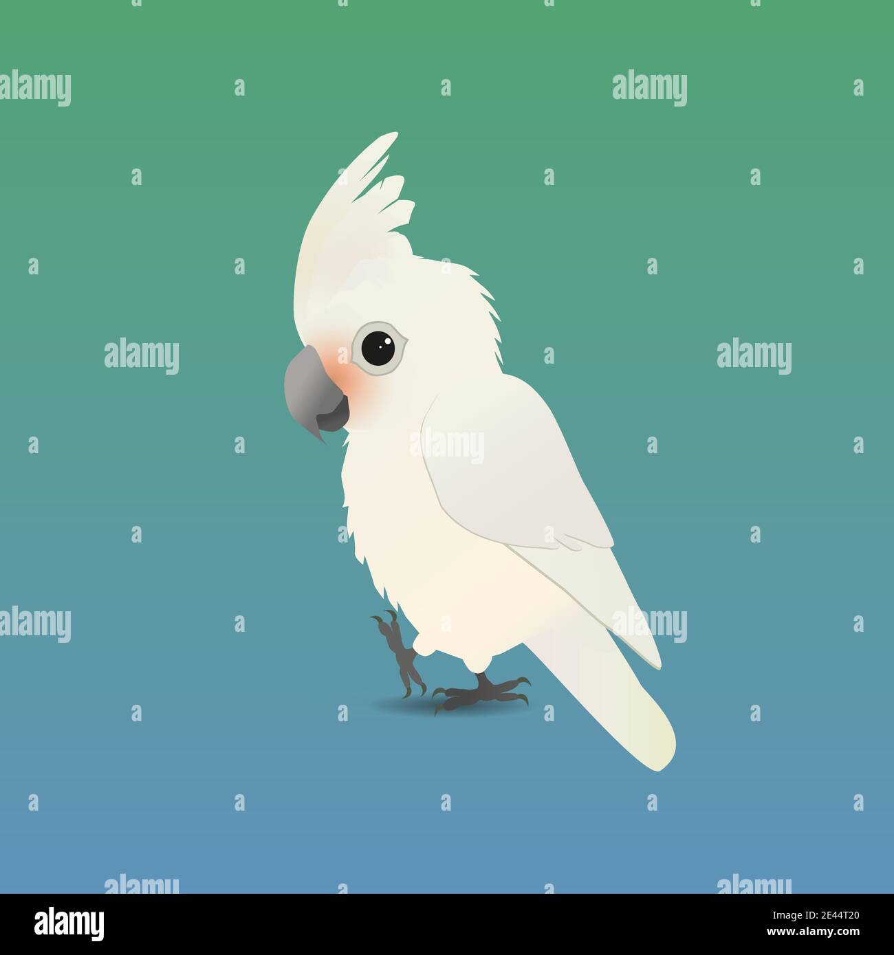 An illustration of a cute Goffin's cockatoo, His crest is up and he looks friendly at you Stock Vector