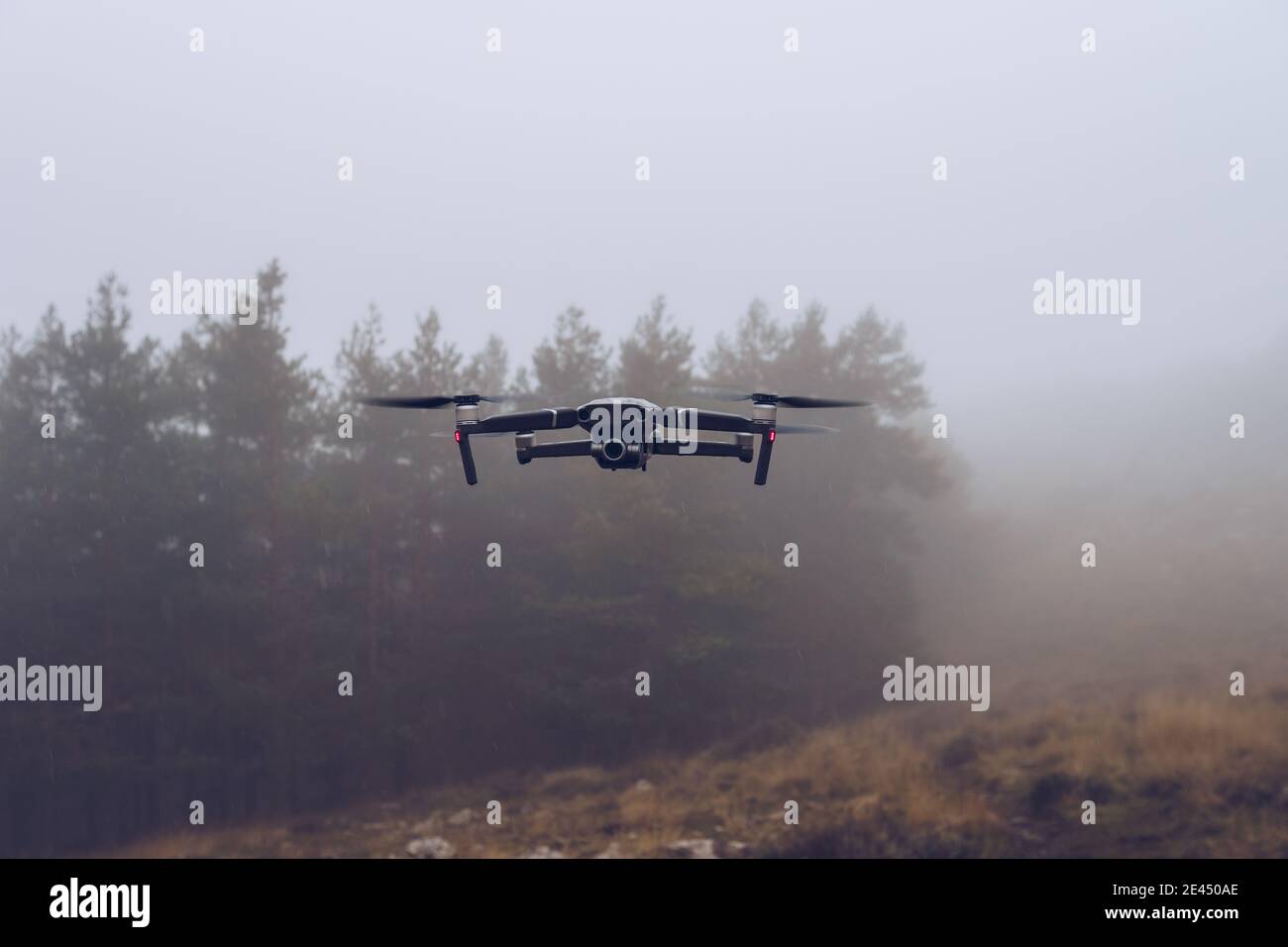 Flying in forest above ground hi-res stock photography and images - Alamy