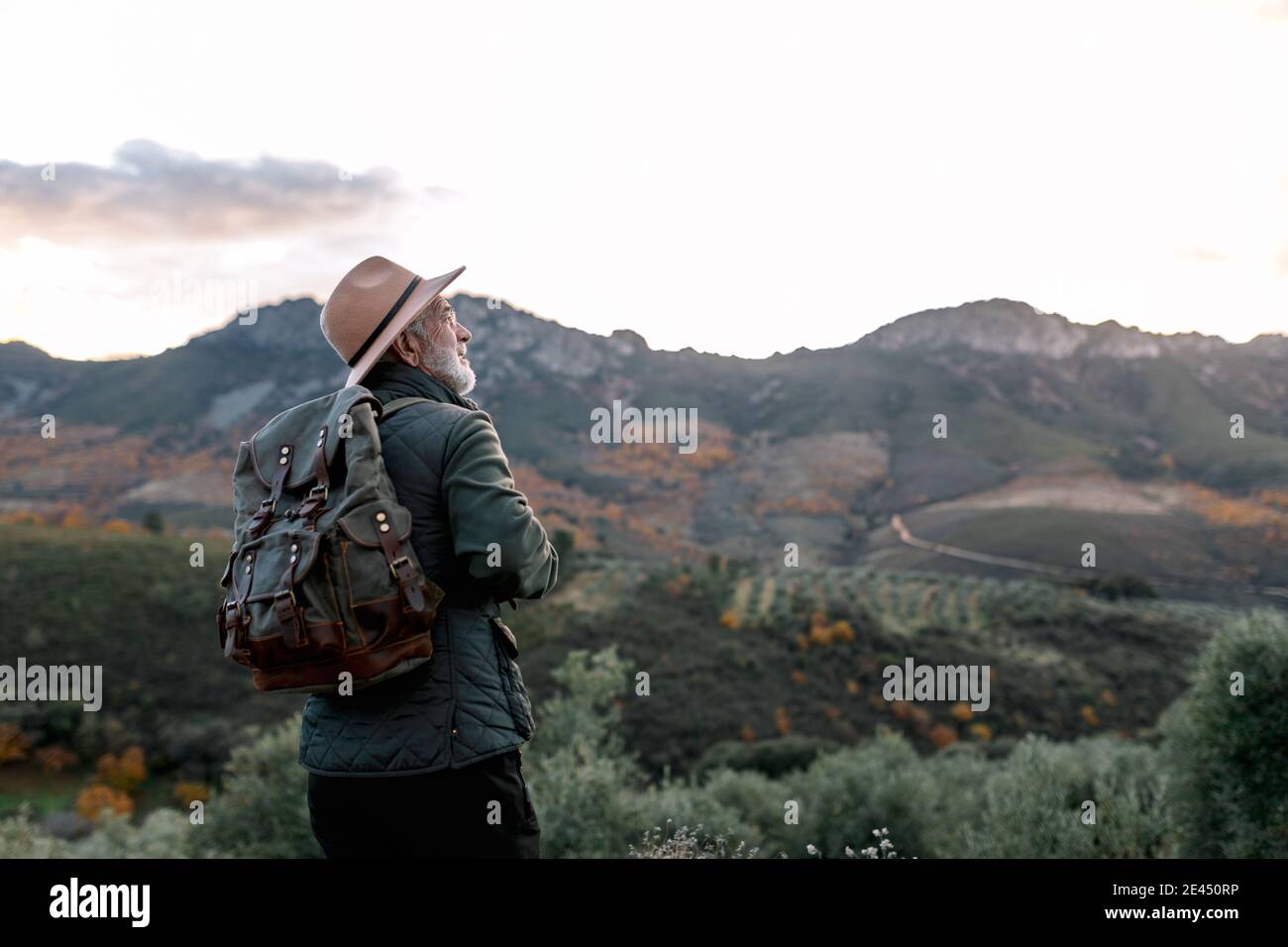 Back view of elderly male wanderer standing on hill and admiring scenic