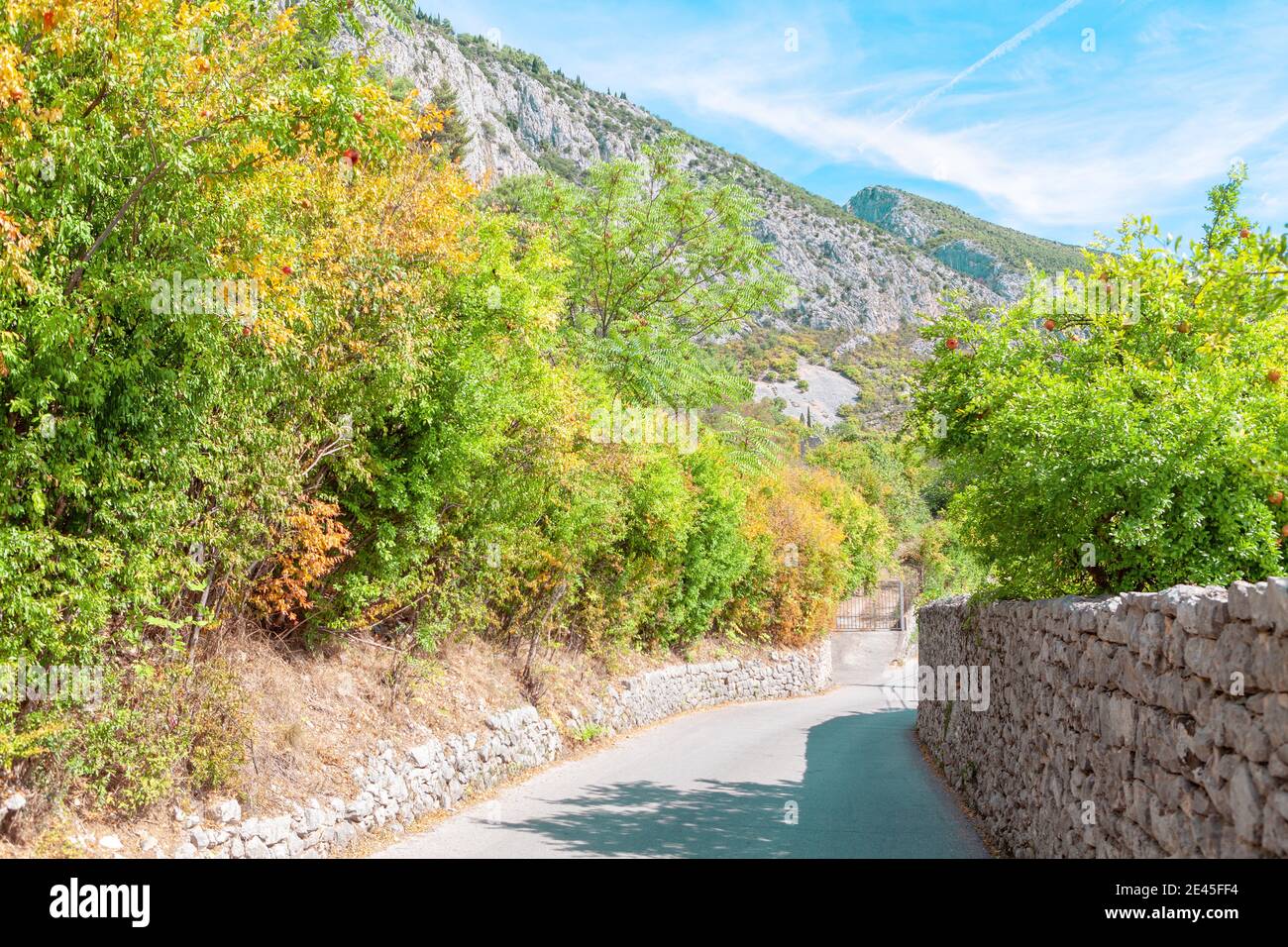 Country road in Bosnia and Herzegovina . Rustic balkanic scenery . Pomegranate trees Stock Photo