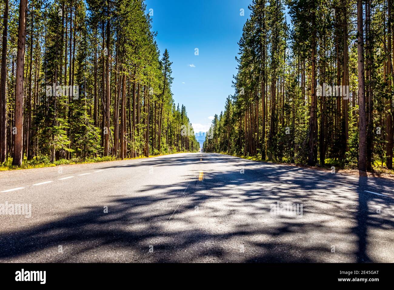 Road from Yellowstone National Park to Grand Teton National Park, Wyoming, USA Stock Photo