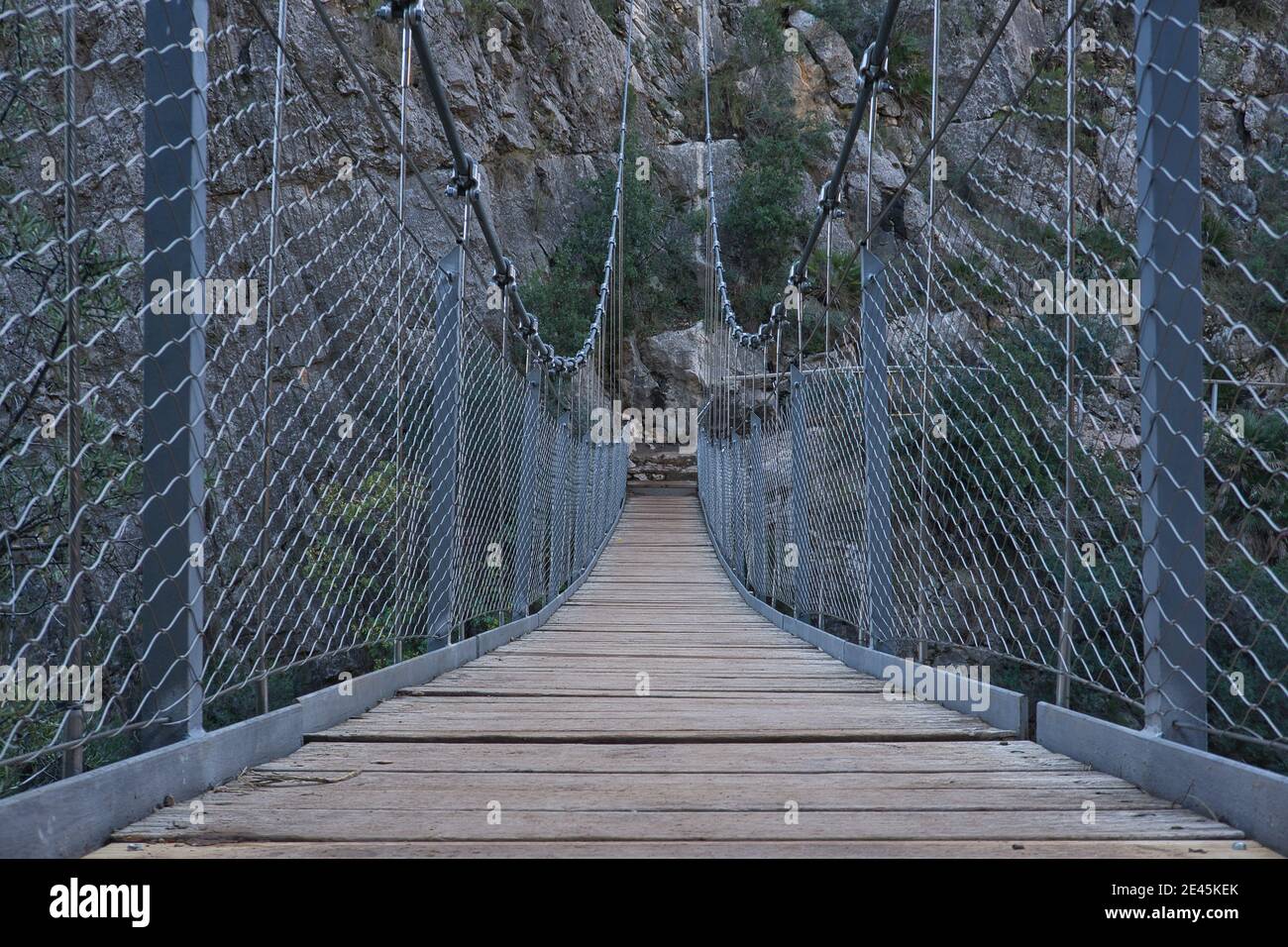 Rain rainforest bridge wood hires stock photography and images Alamy