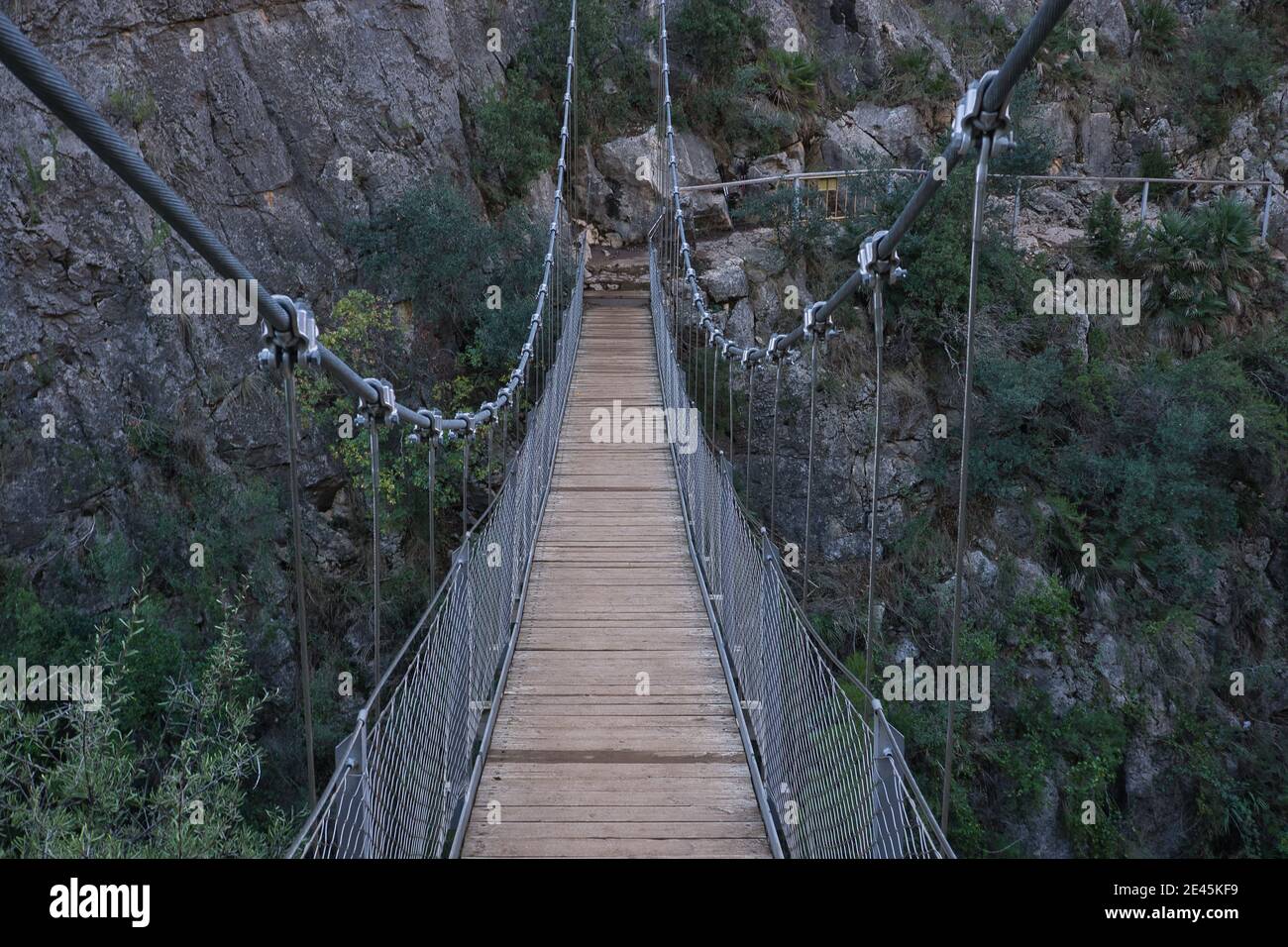Rain rainforest bridge wood hires stock photography and images Alamy