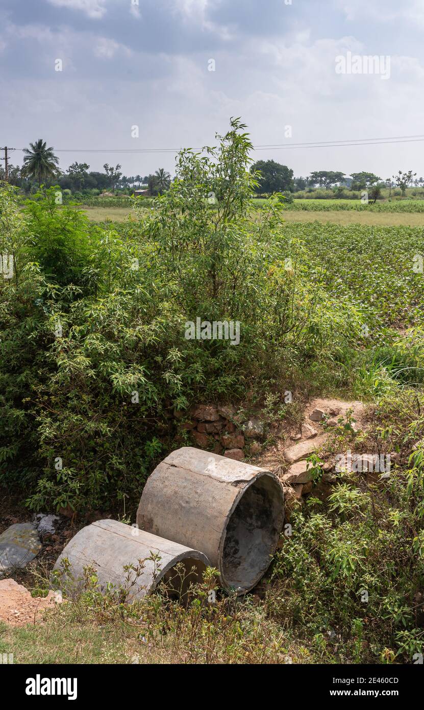 Lakundi, Karnataka, India - November 6, 2013: 2 pieces of cement pipes used to create a bridge to step over creek in green agricultural environment un Stock Photo