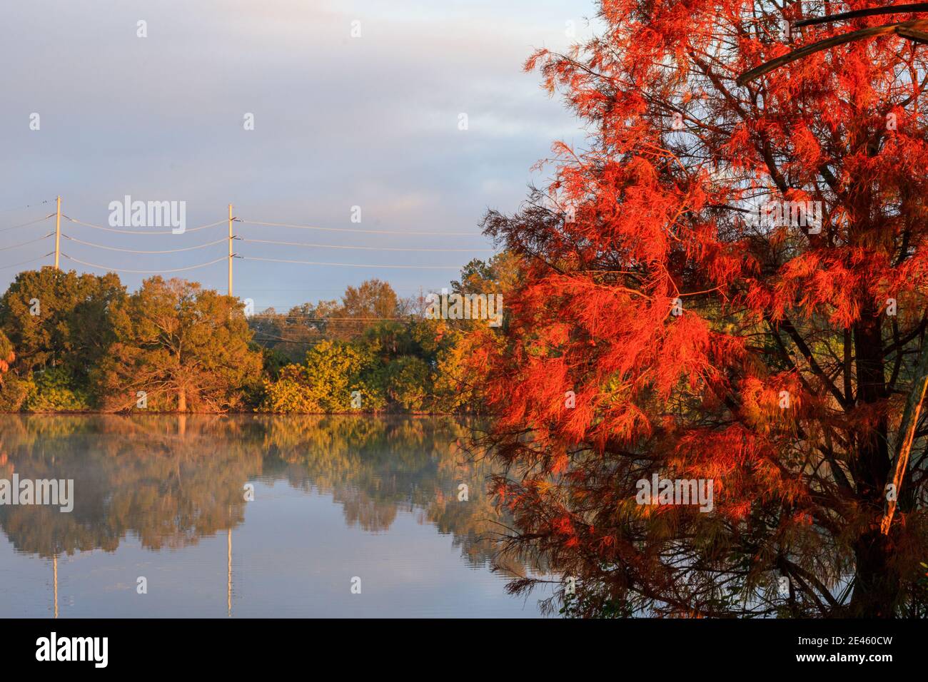 Reflection of the colorful trees on the surface of a lake in the foggy ...