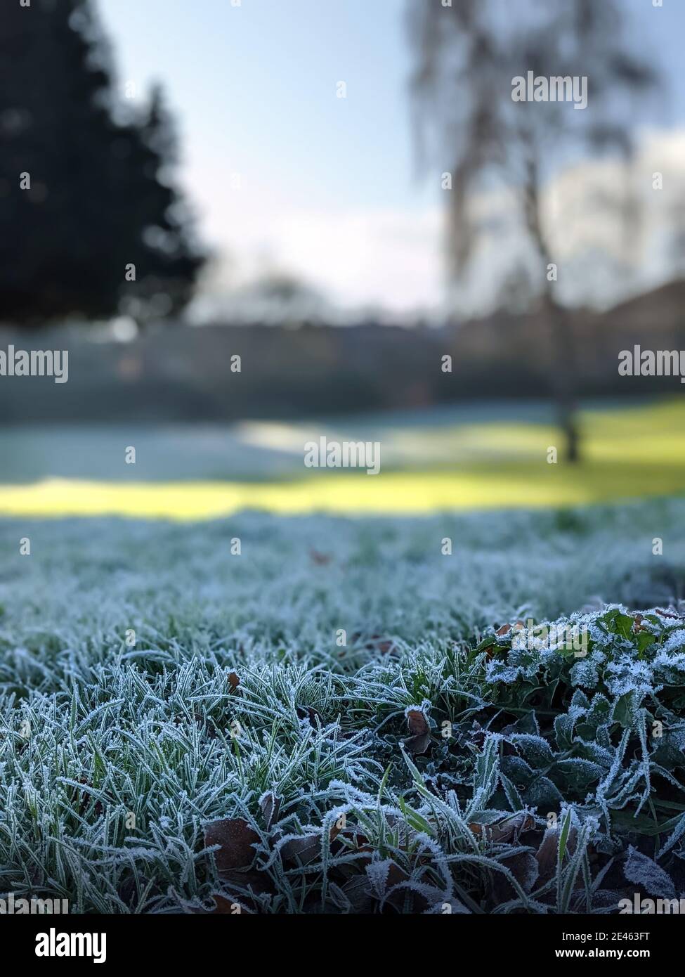 View of Frosty Morning with Ice on Grass and Sunrise Stock Photo