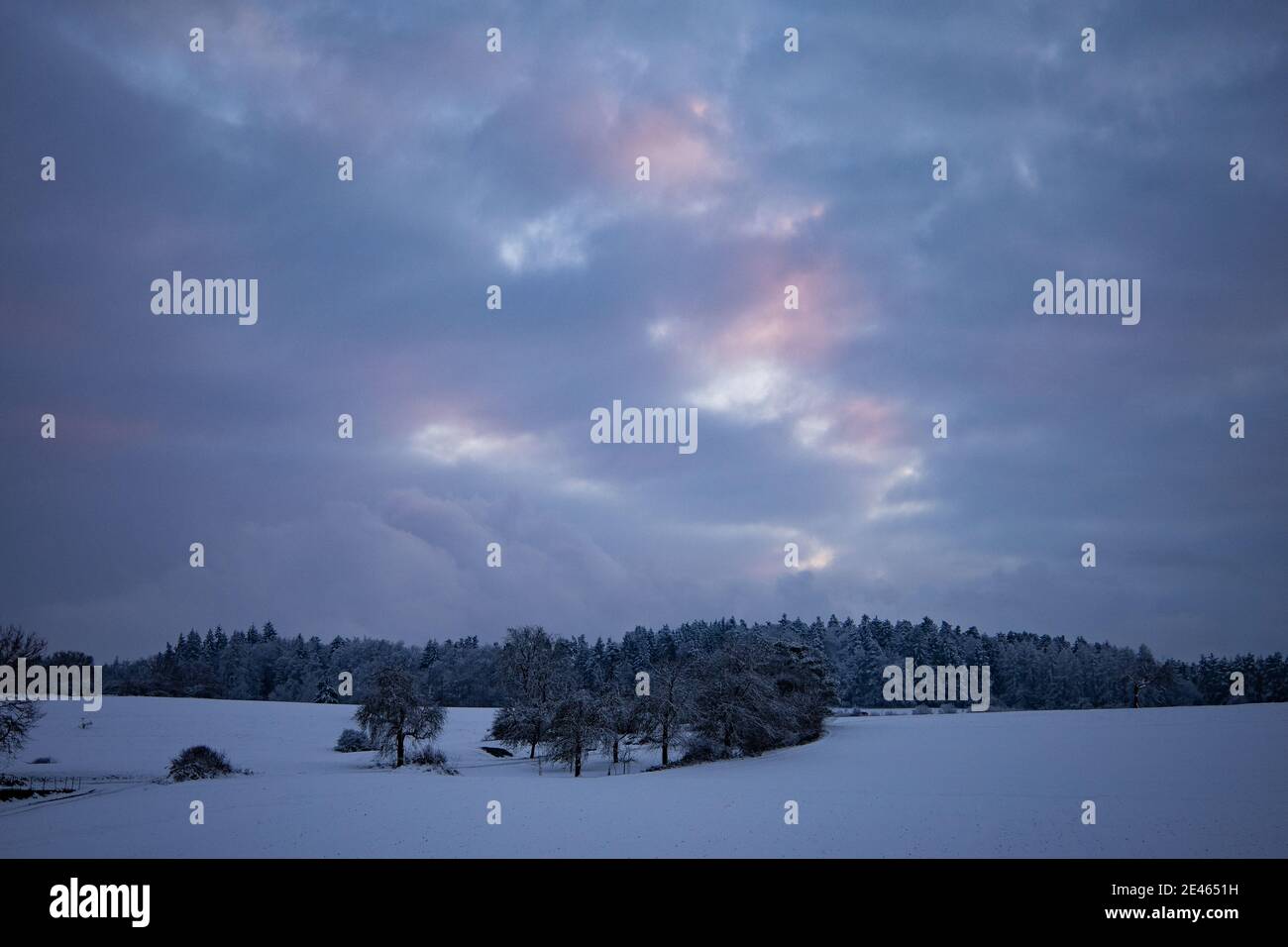 Trees in a snowy field under the cloudy sunset sky Stock Photo - Alamy