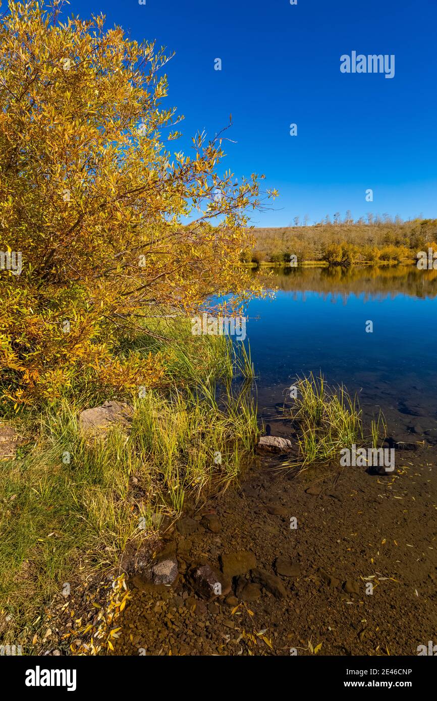 Escape to Serenity: Your Guide to Fish Lake Campground, Northern California